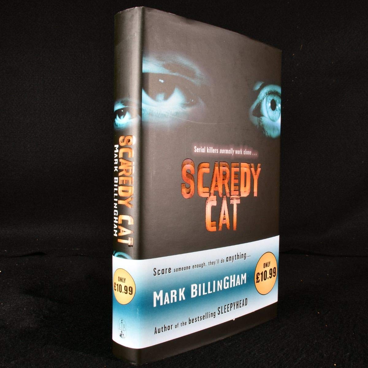 Scaredy Cat