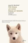 Chi trova un cane...