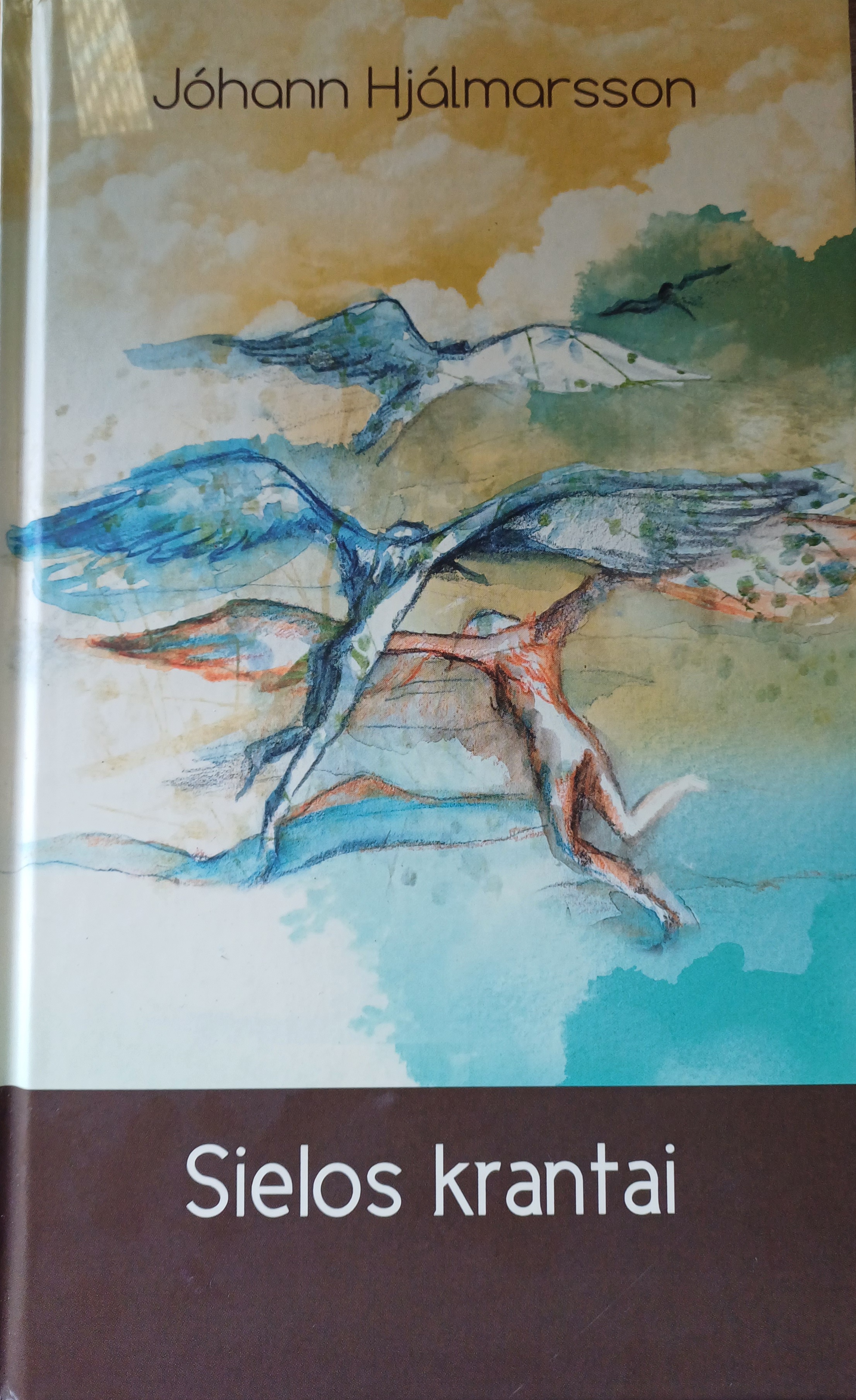 Sielos krantai (Hardcover)