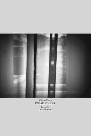 Pesmi dneva (Paperback)