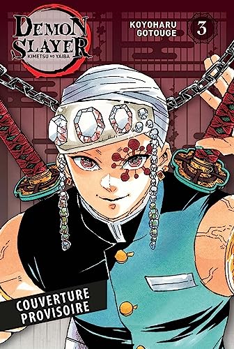 Demon Slayer - Edition Pilier T03 (Paperback)