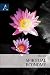 Spiritual Economy by Bo Lin