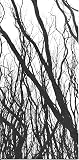 When the Wood Comes Calling (Fosforos Library #6)