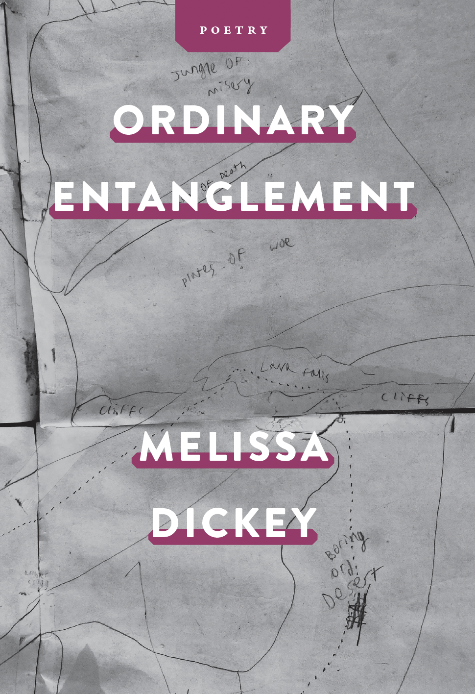Ordinary Entanglement (Paperback)