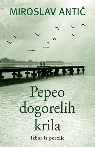 Pepeo dogorelih krila (Hardcover)