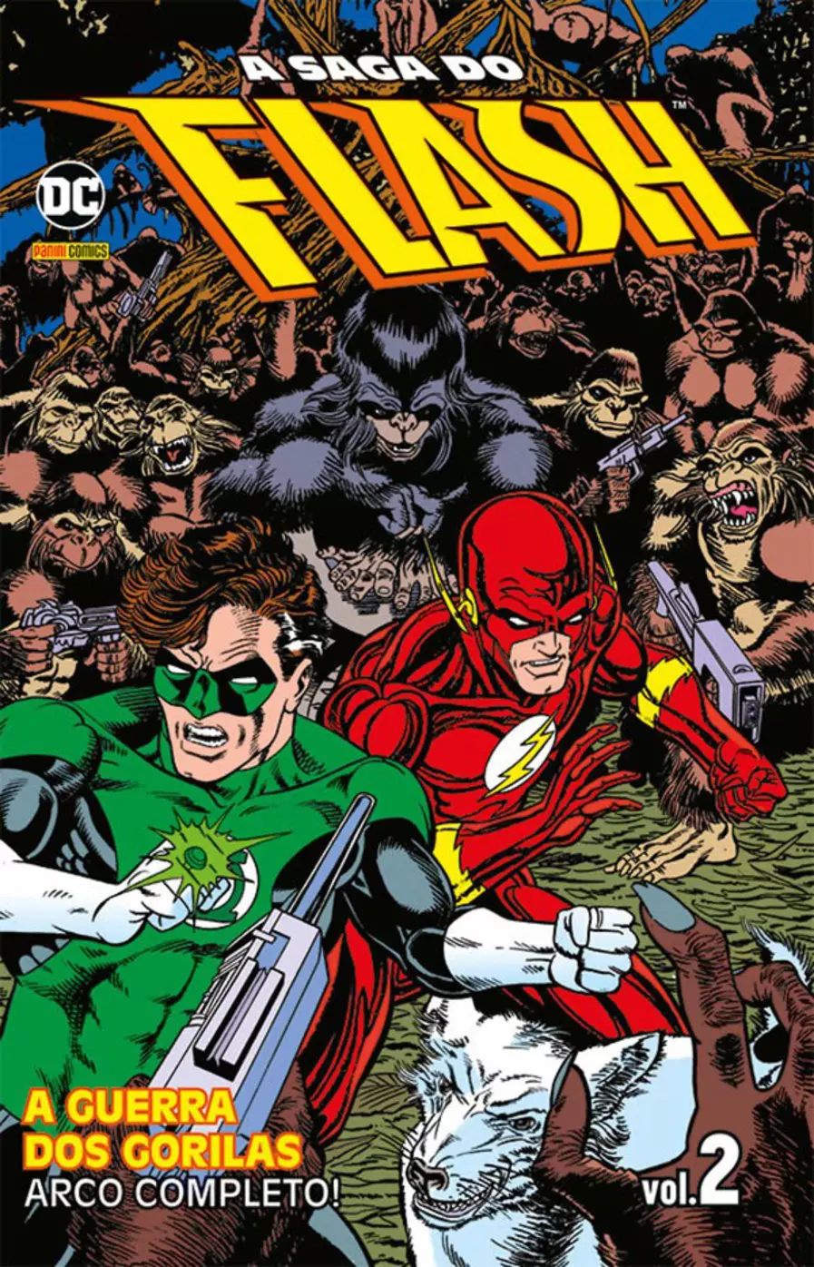 A Saga do Flash, Vol. 2 (Paperback)