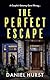 Book cover for The Perfect Escape