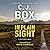 In Plain Sight (Joe Pickett, #6)