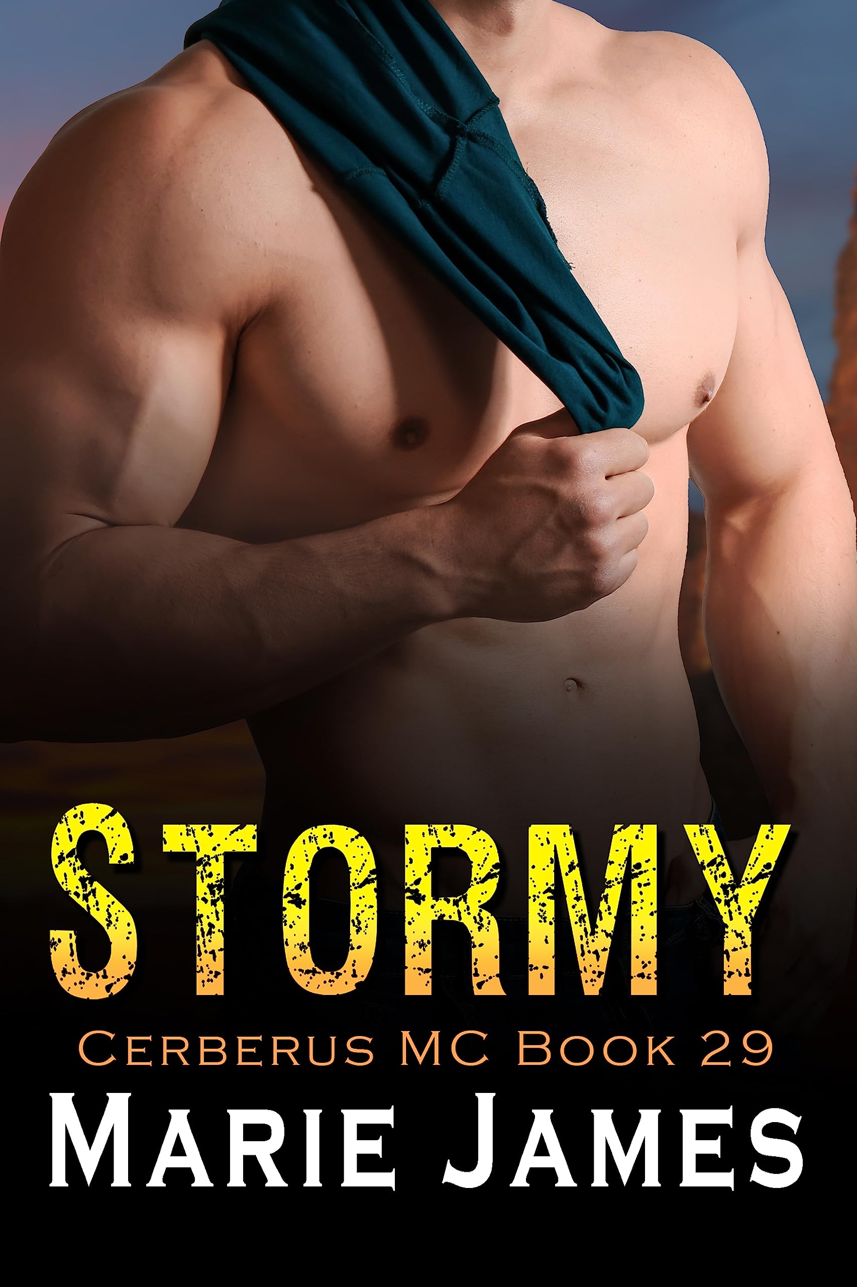 Stormy (Cerberus MC, #29)