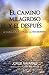 El camino milagroso y el después by Jorge Navarro