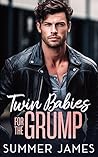 Book cover for Twin Babies for the Grump