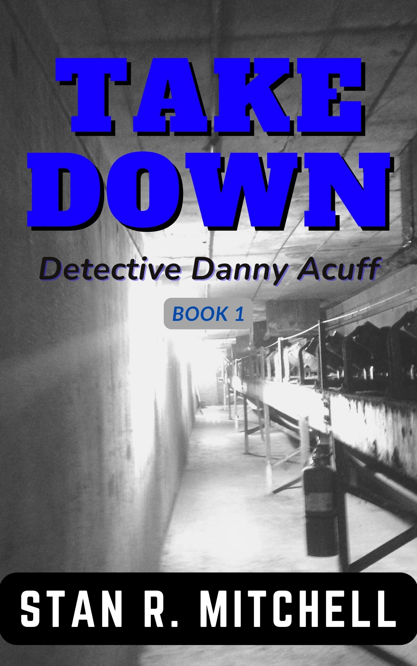 Take Down (Detective Danny Acuff Novels #1)