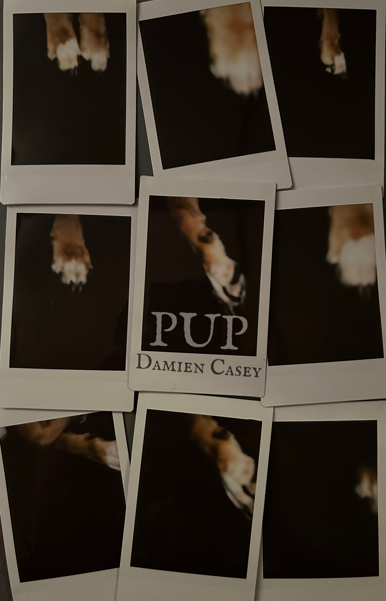 Pup