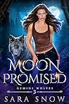 Moon Promised