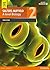 Salters-Nuffield A level Biology Student Book 2 eBook only edition