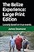 The Belize Experience: Large Print Edition: Loosely based on true events