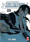 Bleach, vol. 29