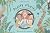 Aunty Planty and the Eco Warriors by Rachel Louisa May