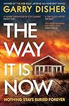 The Way It Is Now by Garry Disher
