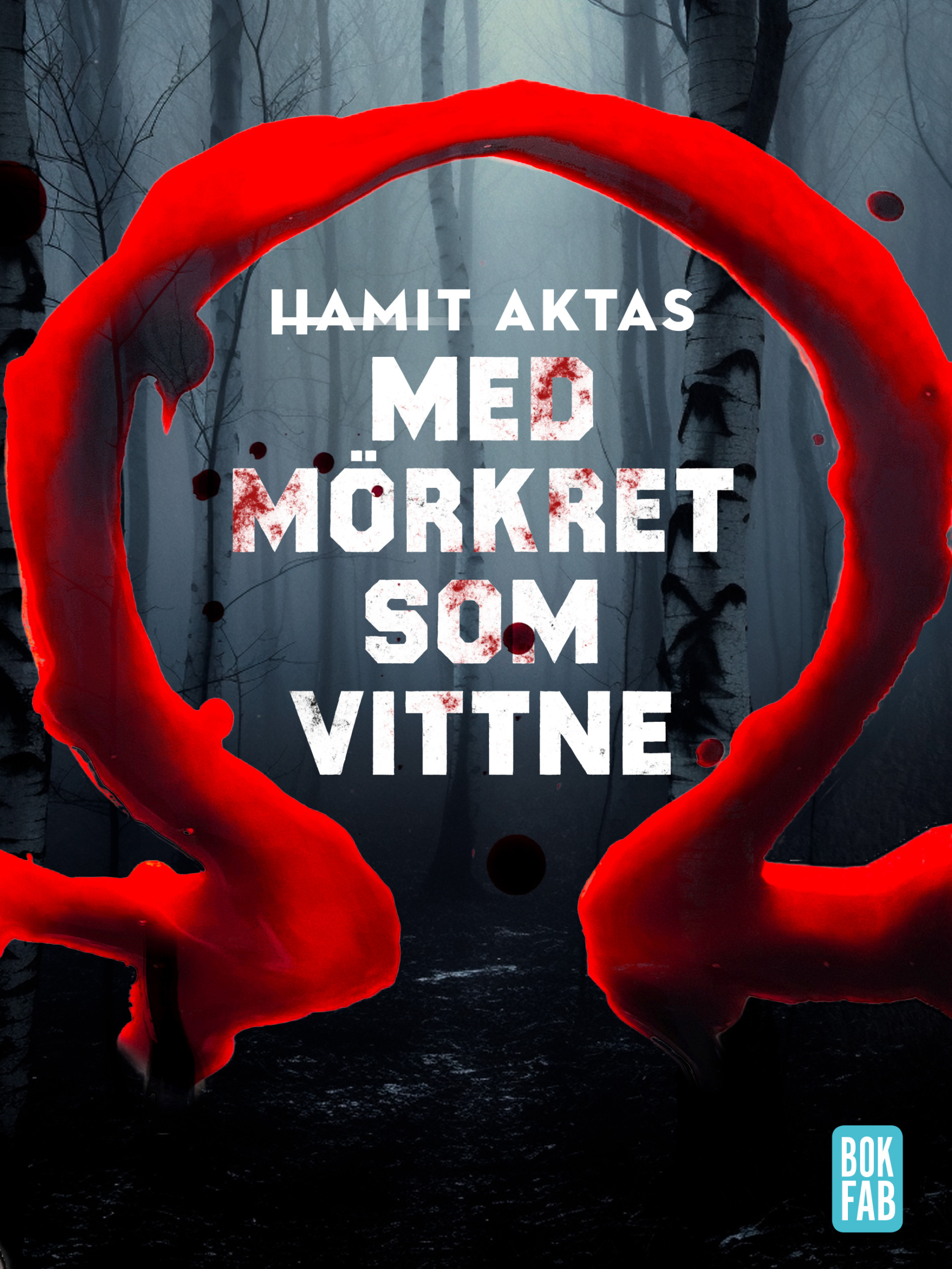 Med mörkret som vittne (Audiobook)