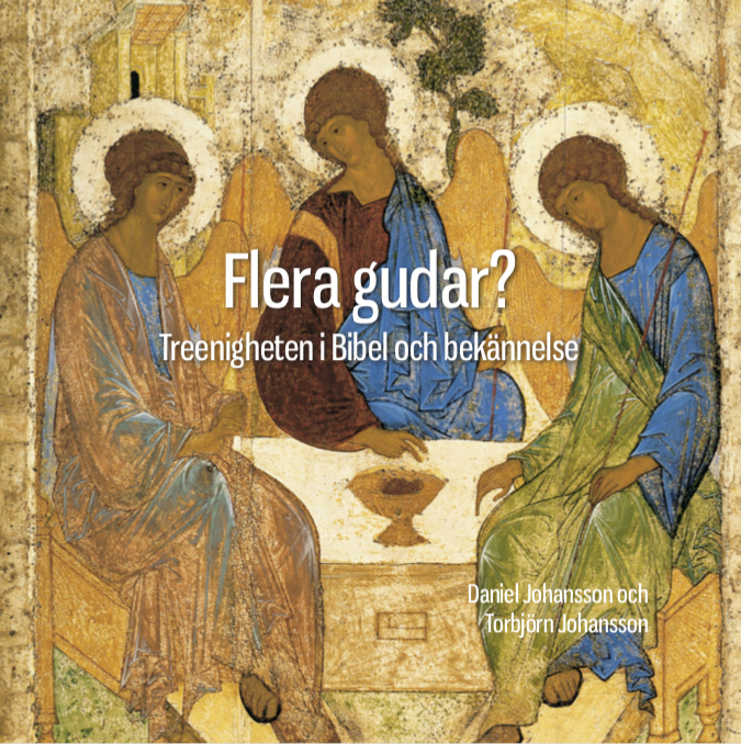 Flera gudar?: treenigheten i bibel och bekännelse