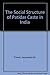 The Social Structure of Patidar Caste in India