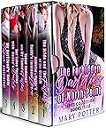 The Forbidden Daddies of North Point Series Collection: Books 11-15