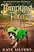 Tempting Fête (Men Who Stitch Mysteries #1) by Kate Silvers