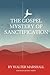 The Gospel Mystery of Sanct...