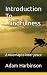 Introduction To Mindfulness by Adam Harbinson