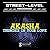 Thunder in Your Love by Akasha