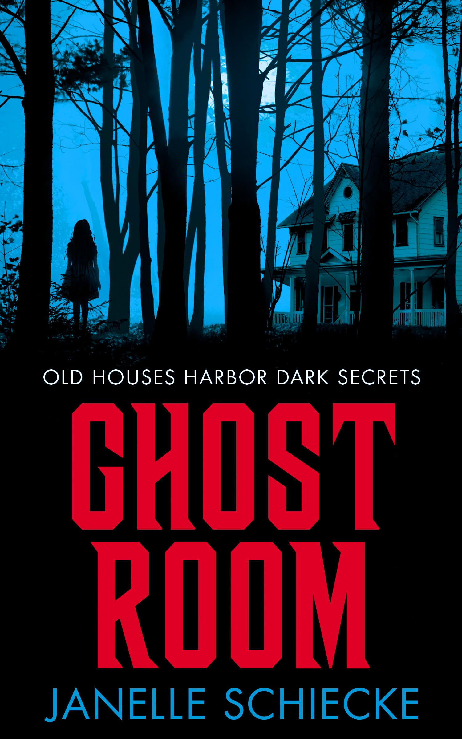 Ghost Room (Kindle Edition)