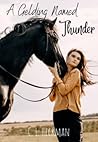 A Gelding Named Thunder (The Morning Star Stables, #1)