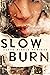 Slow Burn (Heads on Fire #2)
