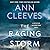 The Raging Storm (Two Rivers, #3)
