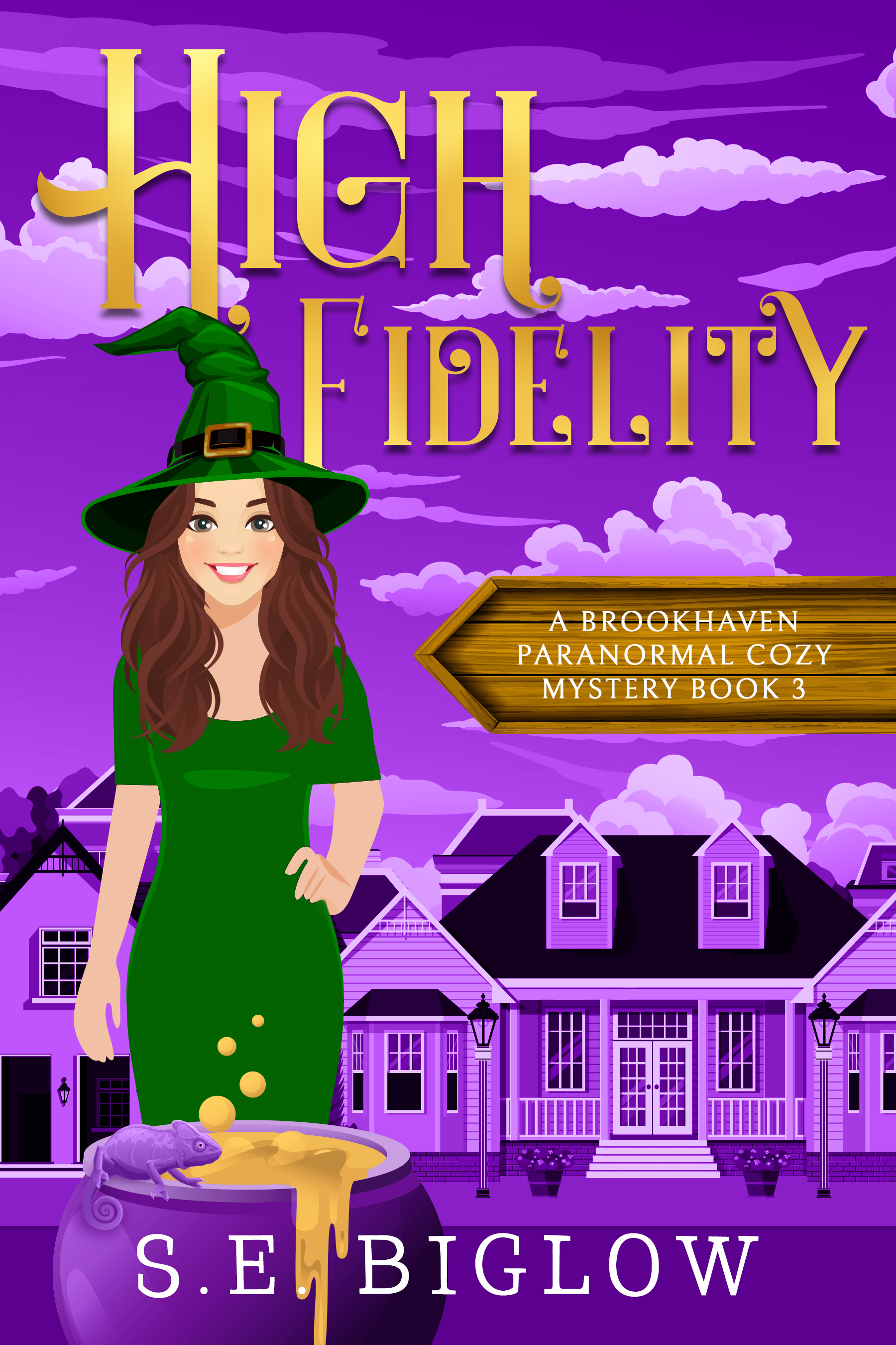 High Fidelity (Brookhaven Paranormal Mysteries, #3)