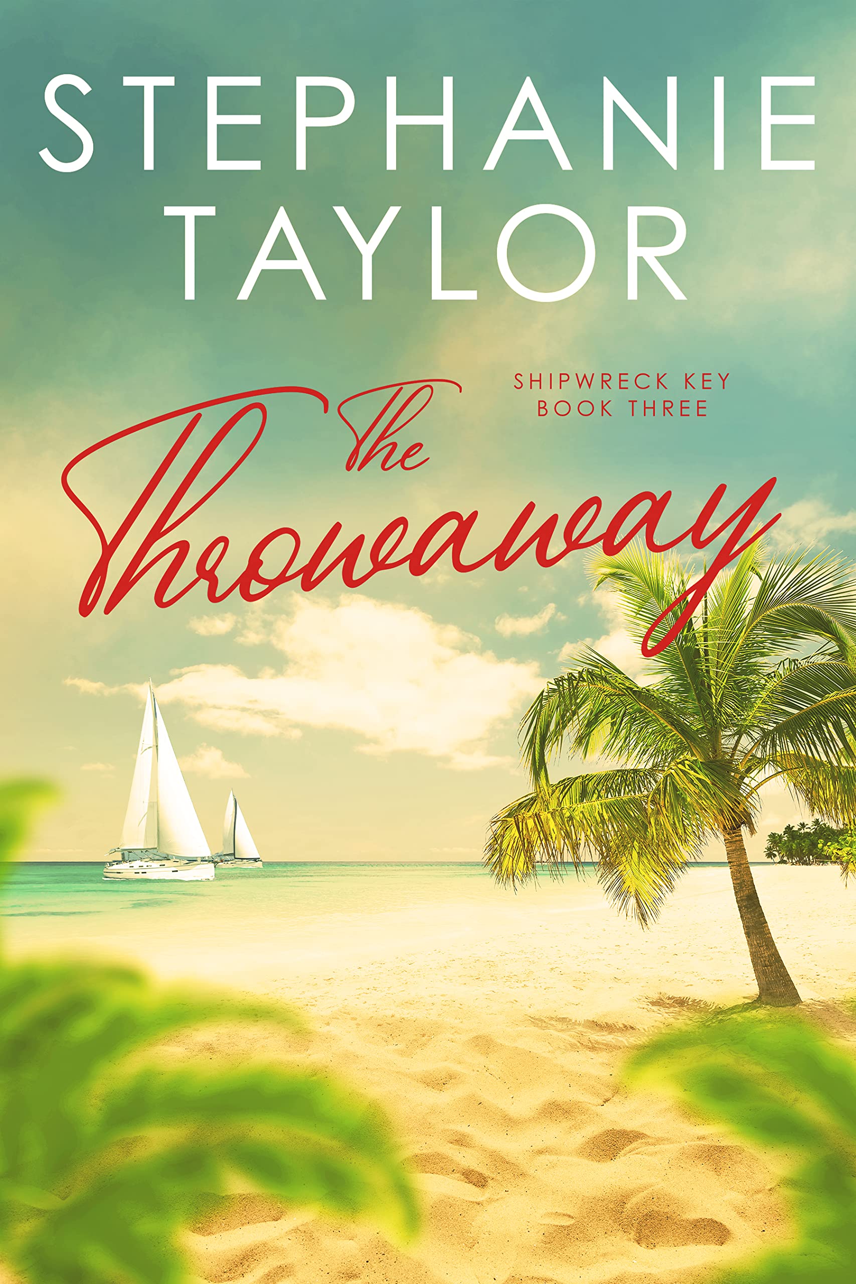The Throwaway (Shipwreck Key #3)