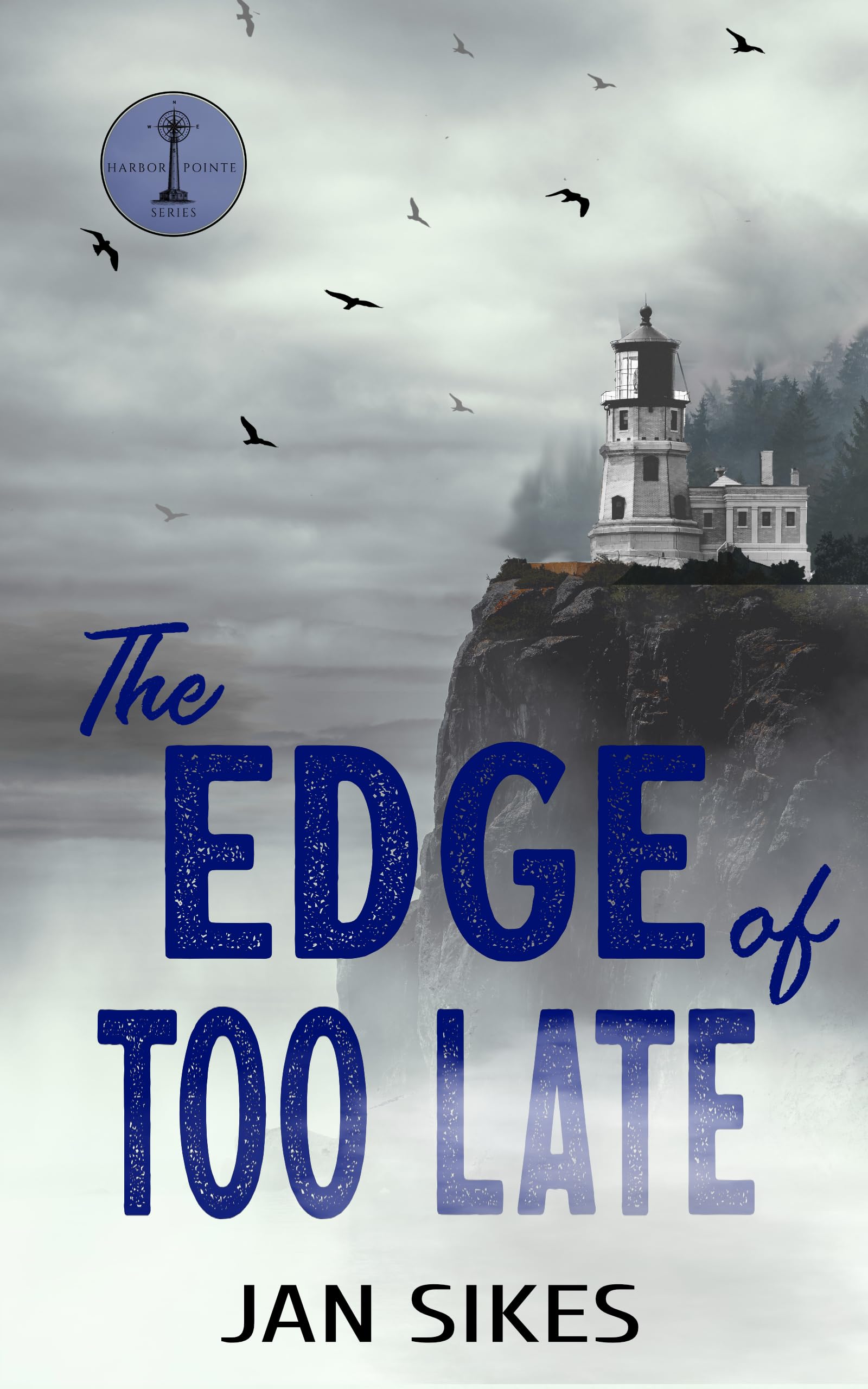 The Edge of Too Late (Harbor Pointe Series Book 5)