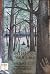 The Pathless Woods: A Novel of Ernest Hemingway's Boyhood in Northern Michigan