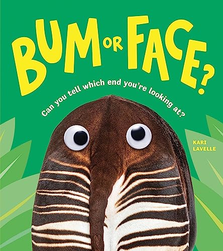 Sourcebooks Explore Bum or Face. (Paperback)