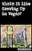 What's It Like Growing Up in Vegas? by Blockhead
