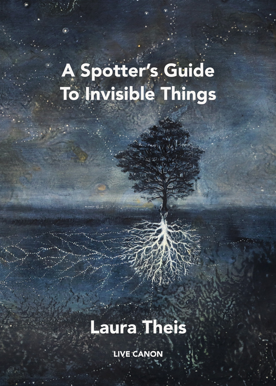 A Spotter's Guide To Invisible Things