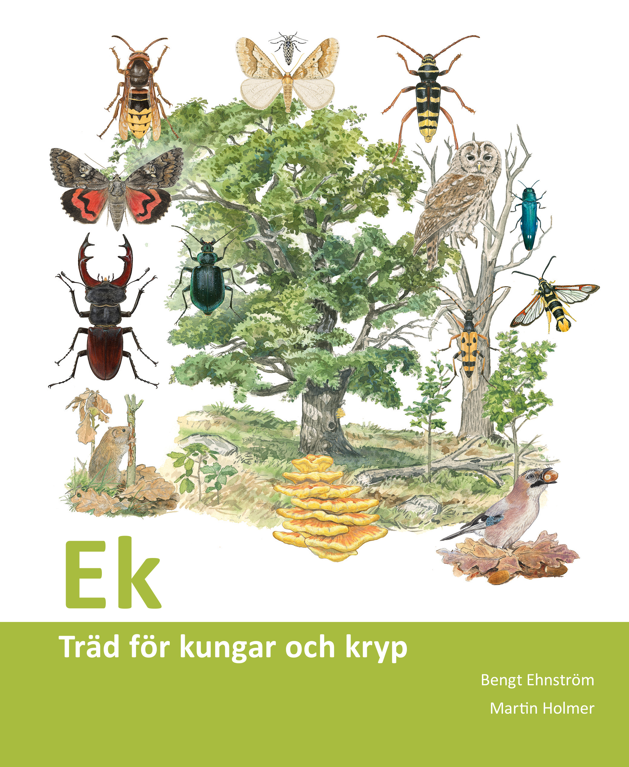 Ek: Träd för kungar och kryp (Paperback)