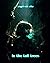 In the Tall Trees (Little Voices #1)