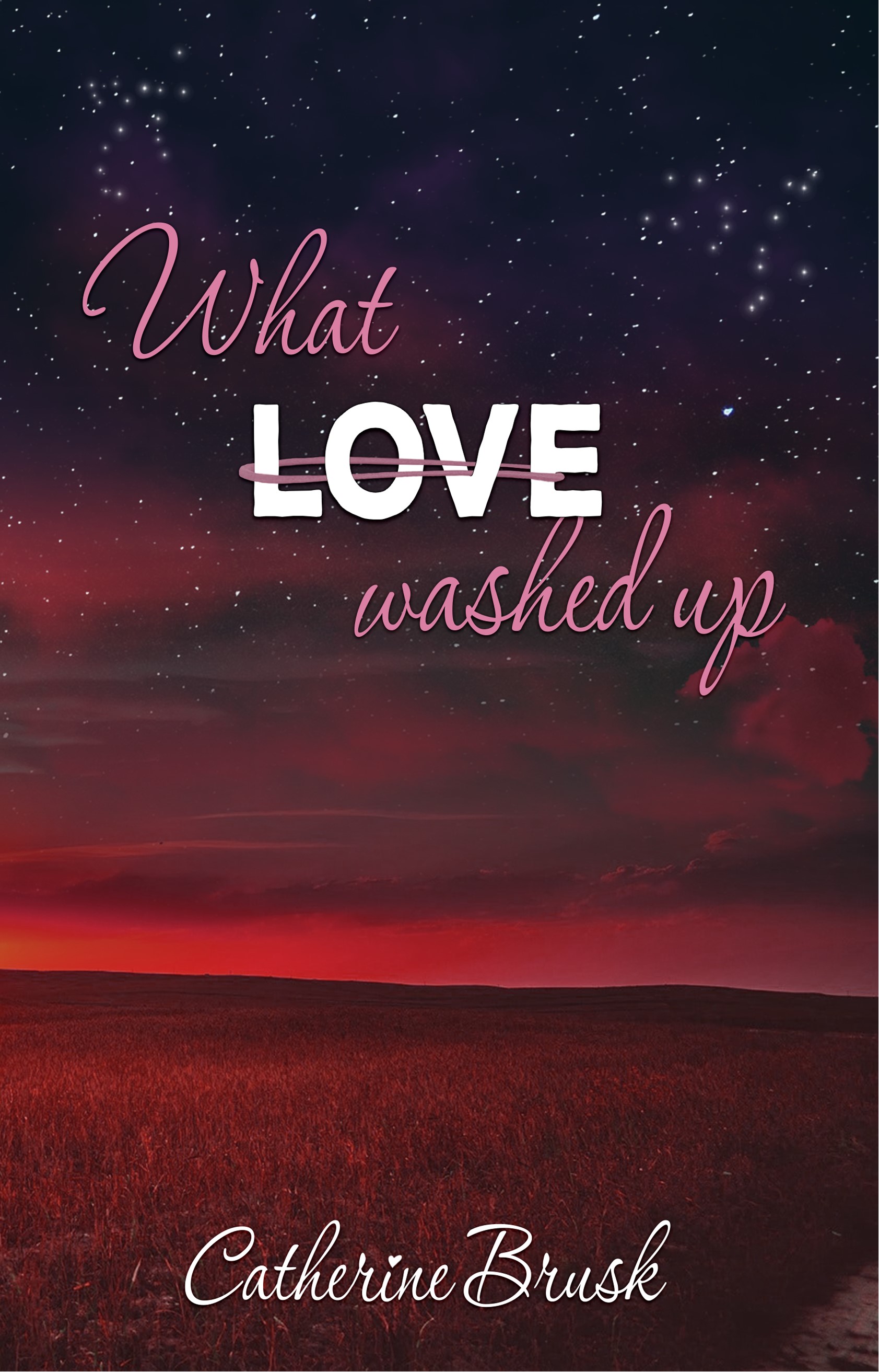 What Love Washed Up (Finding Faith Book 1)