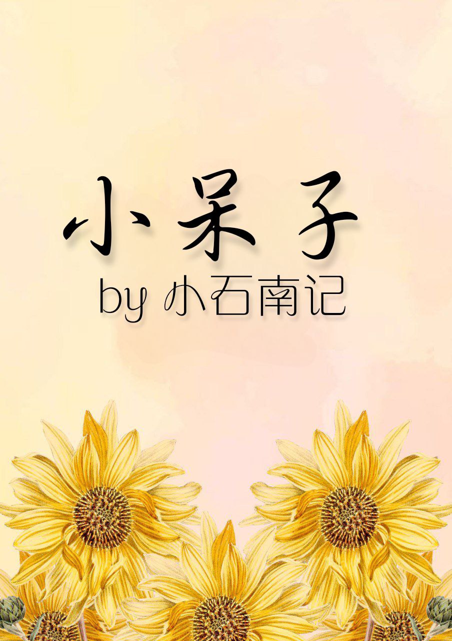 小呆子 Little Fool (Unknown Binding)