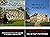 The Elizabeth Bennet Series by Gillian Mather