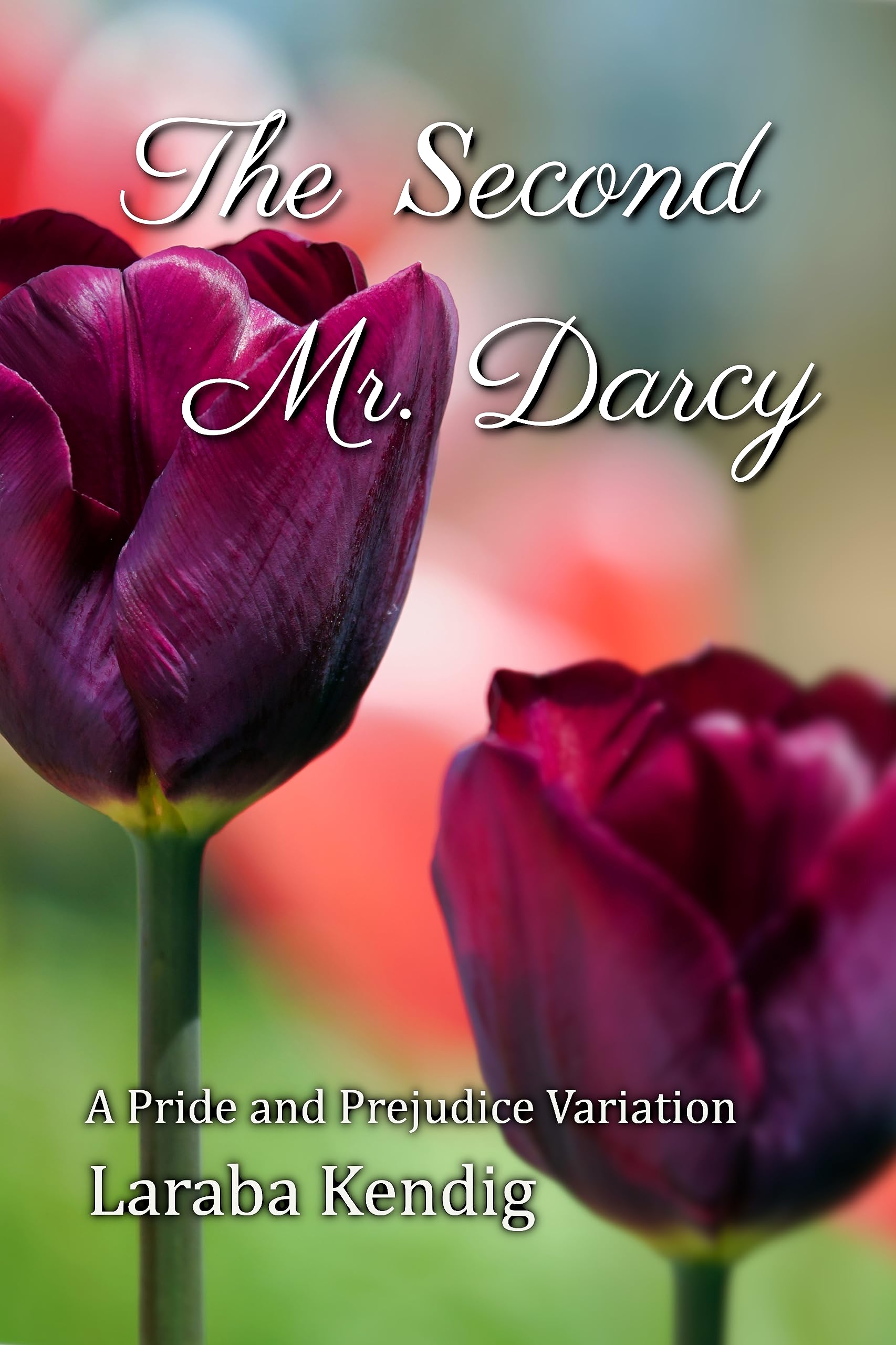 The Second Mr. Darcy: A Pride and Prejudice Variation (ebook)