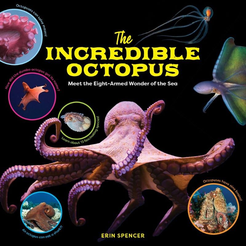 The Incredible Octopus: Meet the Eight-Armed Wonder of the Sea (Hardcover)