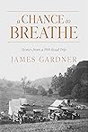 Book cover for A Chance to Breathe: Stories from a 1918 Road Trip